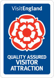 Visitor logo